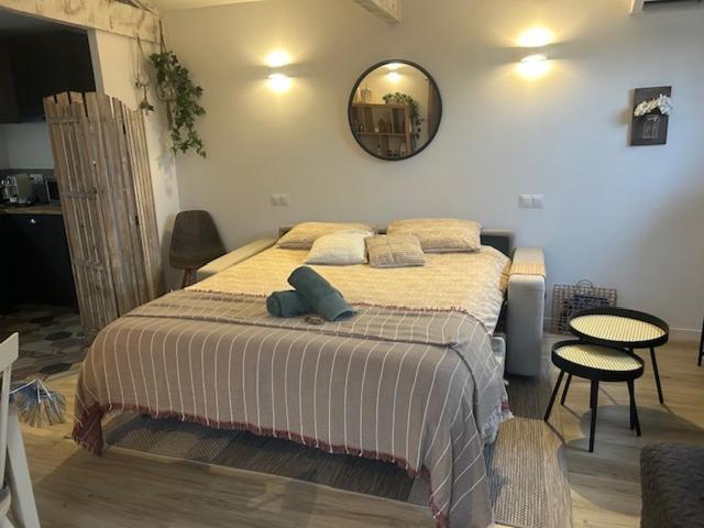 La Brindille Petit Mas Provencal Meuble De Tourisme 3 Etoiles 2-3 Personnes 1 Piece 30 M2 Tout Confort Lisiere Foret Jardin Jacuzzi Piscine Saint-Paul-en-Forêt Buitenkant foto